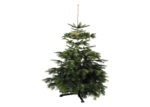 Christbaum Nordmanntanne H 100-130 cm, geschlagen aus nachhaltigem Anbau