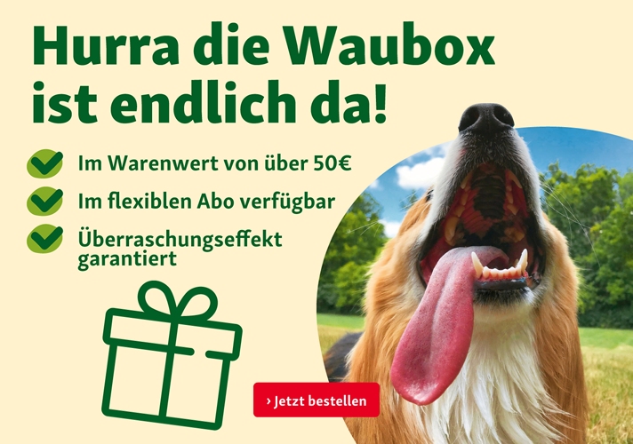 Sichere dir deine Waubox!