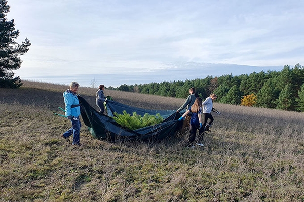 Samtfalter und Co. sagen Danke
Pflegeeinsatz für seltene Tagfalter in Grünhaus