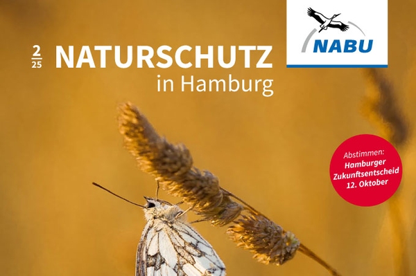Wenn die Natur die Rechnung schickt Naturschutz in Hamburg 2/25 online