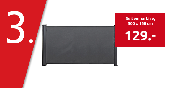 Seitenmarkise, 300 x 160 cm, anthrazit