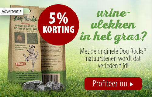 5% korting! Dog Rocks