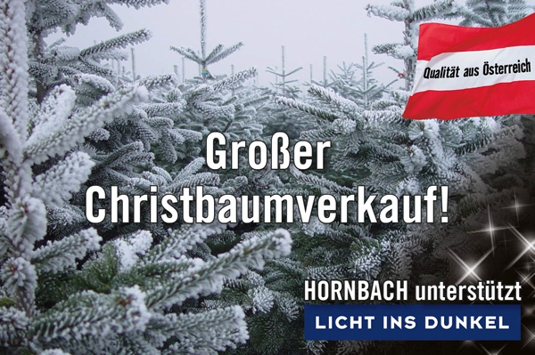 Großer Christbaumverkauf.