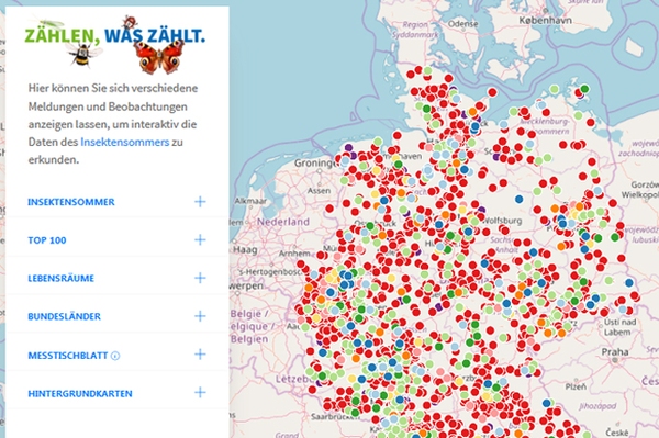 Alle Daten auf einen Blick Zwischenergebnisse der Mitmachaktion „Insektensommer“