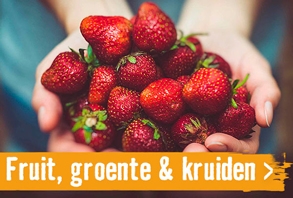 Fruit, groente & kruiden | HORNBACH