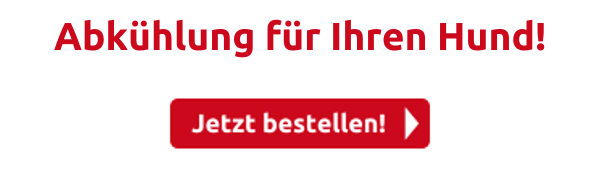 Abkühlung für Ihren Hund!
