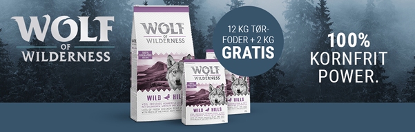 Månedens tilbud Wolf of Wilderness