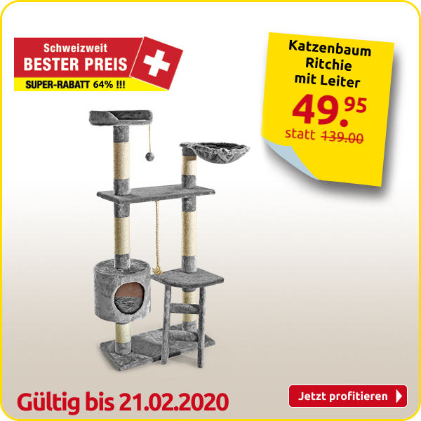 Katzenbaum Ritchie mit Leiter, grau