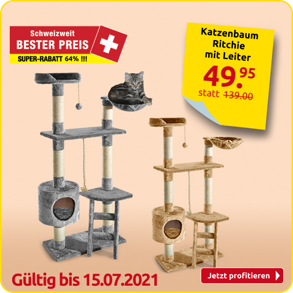 Katzenbaum Ritchie mit Leiter, grau