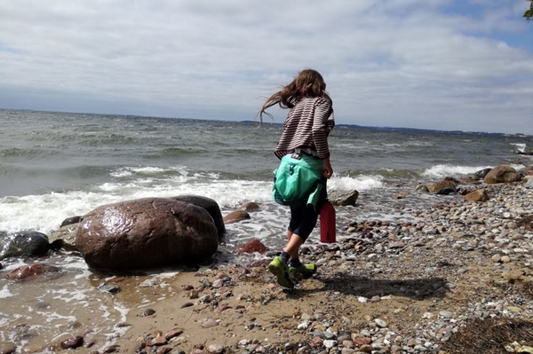 Umfrage zur Meeresnatur Was verbinden Sie mit der Biodiversität der Ostsee