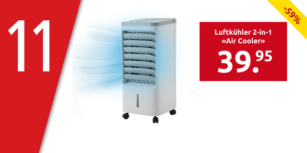 Luftkühler 2-in-1 «Air Cooler», 4 l