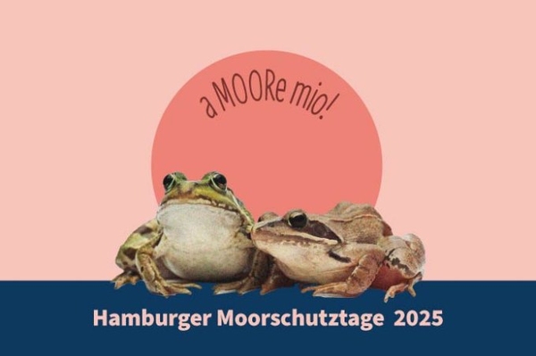 Hamburger Moorschutztage 2025 aMoore mio! Viele Veranstaltungen rund um's Moor