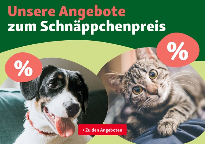 Unsere Angebote zum Schnäppchenpreis