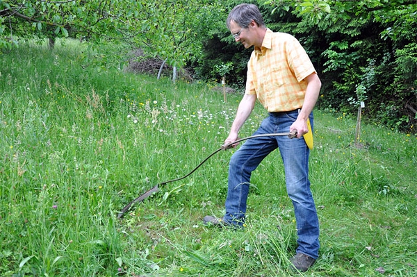Insektenfreundlich mähen Sensenkurs am 24. Mai in Glindow