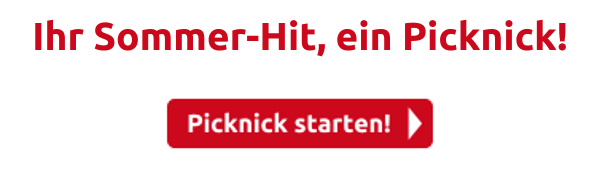 Ihr Sommer-Hit, ein Picknick!