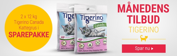 Månedens tilbud Tigerino