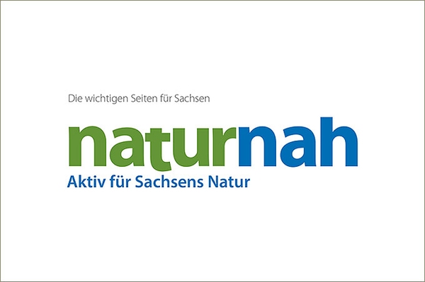 NABU-Magazin naturnah Ausgabe 1/2024 erschienen