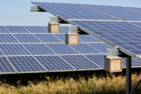Solarparks naturverträglicher gestalten Position des NABU Thüringen