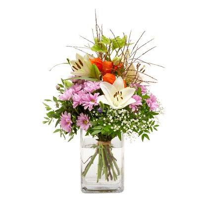 Septemberkollektion 2019