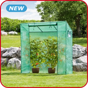 Grosses Tomatengewächshaus