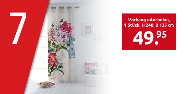 Vorhang «Antonia», 1 Stück, H 240, B 135 cm