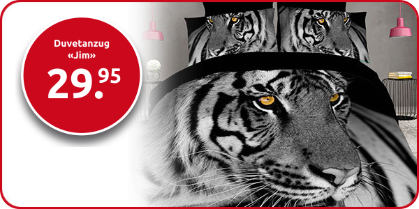 Duvetanzug «Jim» 160 x 210 cm + Pfulmenanzug 65 x 100 cm