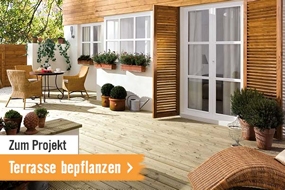 Projekt: Terrasse bepflanzen