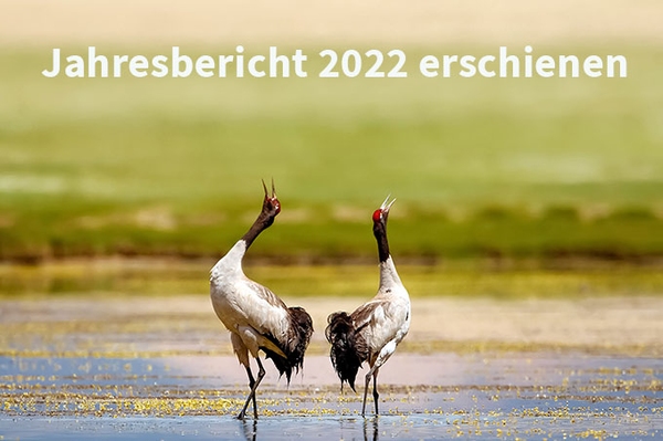 Jahresbericht 2022 Was wir 2022 für die Natur erreicht haben