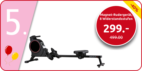 Magnet-Rudergerät, 8 Widerstandsstufen, Magnetbremse