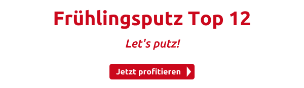 Frühlingsputz Top 12 