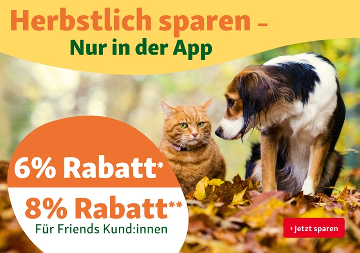 Herbstlich sparen in der App