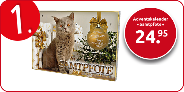 Adventskalender «Samtpfote»