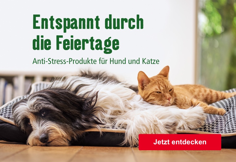 Entspannt durch die Feiertage