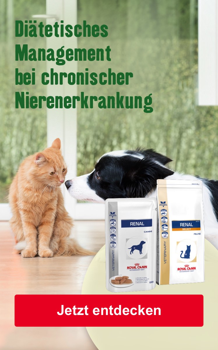 Diätetisches Management bei chronischer Nierenerkrankung