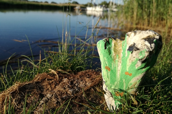 Bemalte Steine in Greifswald Artenvielfalt des Meeres zum Aufsammeln und Teilen