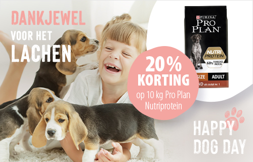 20% korting!