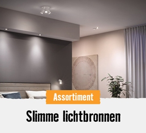 Slimme lichtbronnen | HORNBACH