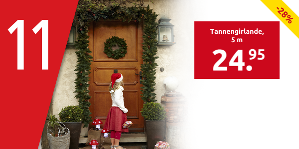 Tannengirlande, 5 m