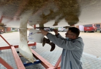 BSH dehnt Bewuchs-Untersuchungen auf Nordsee aus