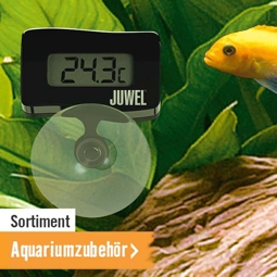 Aquariumzubehör im HORNBACH Online Shop