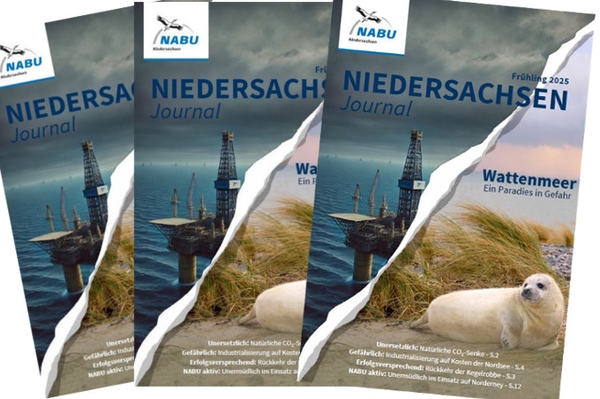 NABU Niedersachsen Journal Das Mitgliedermagazin für Niedersachsen