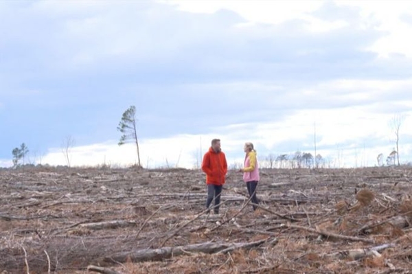 Holzverbrennung in Kraftwerken stoppen! Hilf uns: Unsere Wälder dürfen nicht verheizt werden