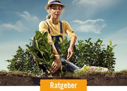 HORNBACH Ratgeber Hecken und Sträucher pflanzen