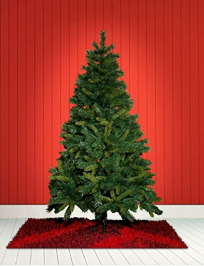 Tannenbaum mit 650 Zweigen, Höhe 180 cm