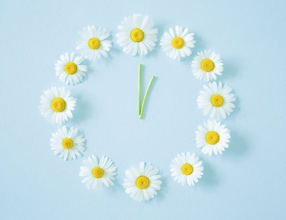Uhr aus Gänseblümchen vor hellblauem Hintergrund