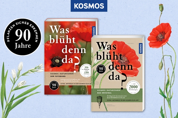 Kosmos-Gewinnspiel Achtung: Bärlauch nicht mit Maiglöckchen verwechseln
