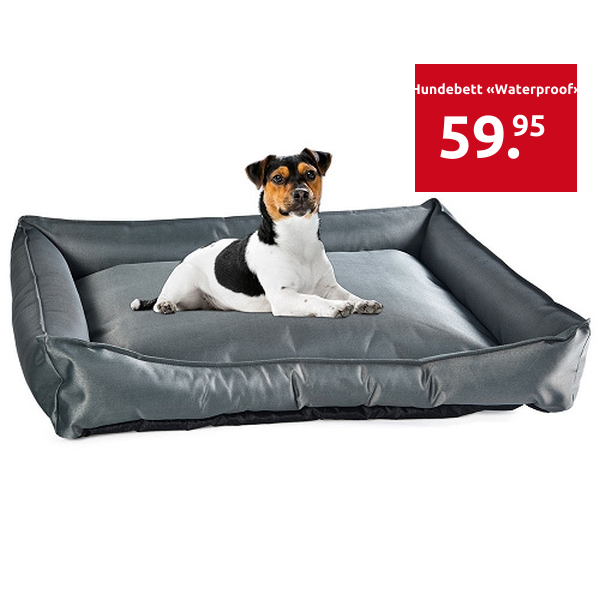 Hundebett «Waterproof»