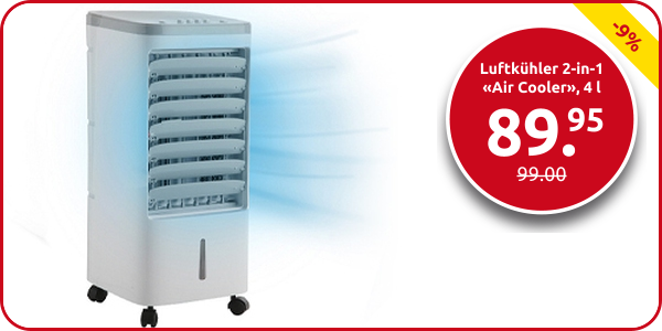 Luftkühler 2-in-1 «Air Cooler», 4 l