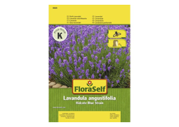 Lavendel 'Hidcote Blue Strain' FloraSelf samenfestes Saatgut Blumensamen