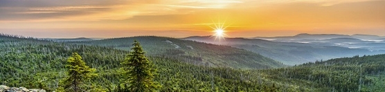 Bayerischer Wald entdecken